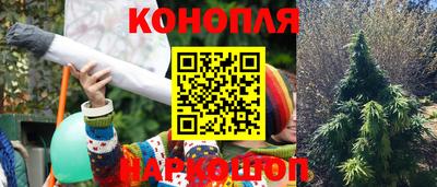 стафф Краснознаменск