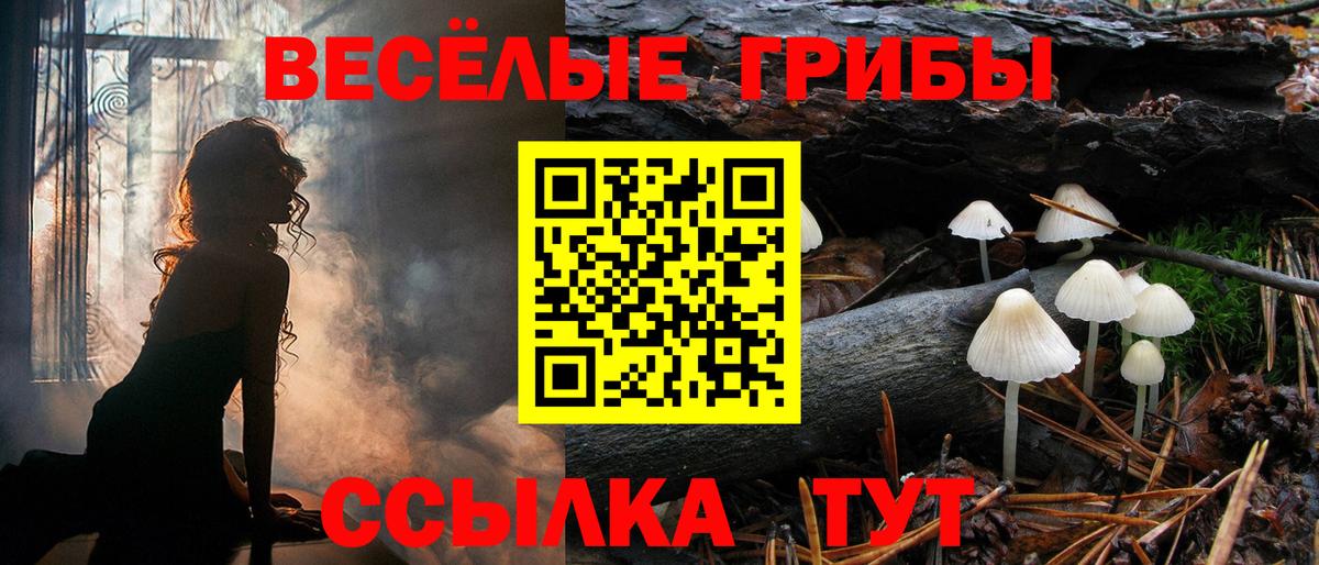 Карачаевск  Галлюциногенные грибы MAGIC MUSHROOMS  Вход с VPN 